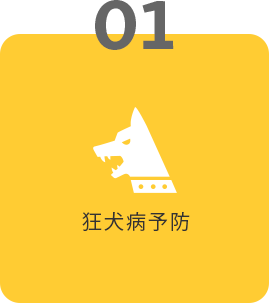 01 狂犬病予防